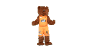 Sport Bear Sticker by Basket_fi
