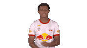 Red Bull Dance Sticker by FC Red Bull Salzburg