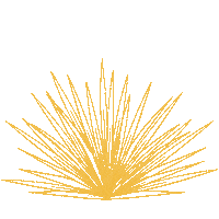 MezcalComplice mexico mezcal agave maguey Sticker