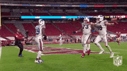 Regular Season Football GIF by NFL