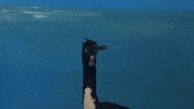 La Salle Art GIF by jorgemariozuleta
