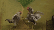 La Salle Art GIF by jorgemariozuleta