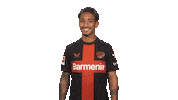 Bayer Leverkusen Wink Sticker by Bundesliga