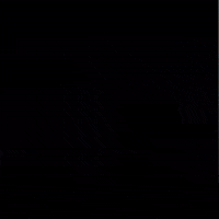 Motorcycle GIF by Gotham Ducati Desmo Owners Club