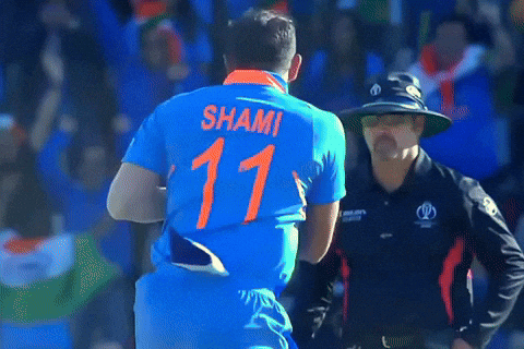Virat Kohli Shami GIF