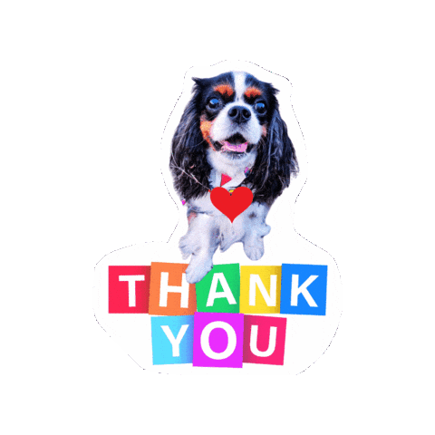 Cavalierkingcharlesspaniel Love Sticker