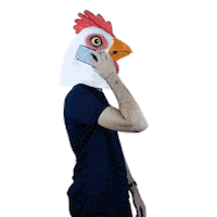 Les_Petits_Frenchies coq lpf cocorico yveslecoq Sticker