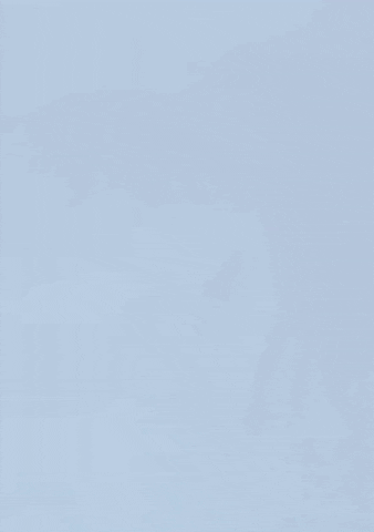 YNBCLUB giphyupload GIF