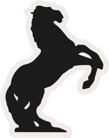 All In Horse Sticker by dorfjungs