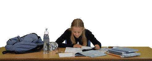 School Working Sticker by vanlodenstein