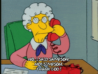 Season 1 Episode 13 GIF by The Simpsons
