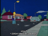 Season 1 Episode 13 GIF by The Simpsons