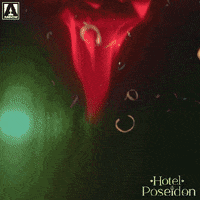 First Date Reaction GIF by Arrow Video