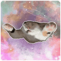 anduzuul cat kawaii sleepy dizzy GIF