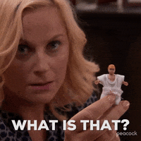 What Is That Season 4 GIF by Parks and Recreation