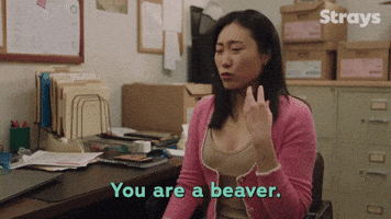 A Beaver