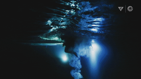 Deep Sea Night GIF by Monterey Bay Aquarium