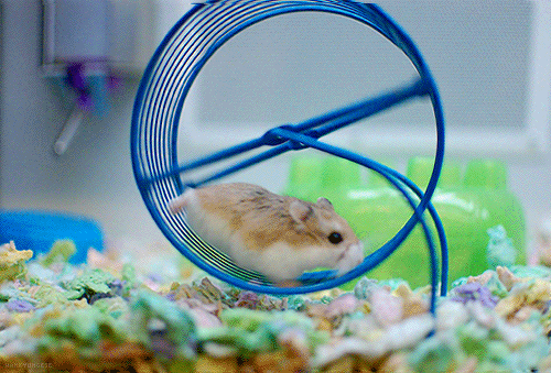 round and round GIF