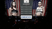ufc 205 GIF