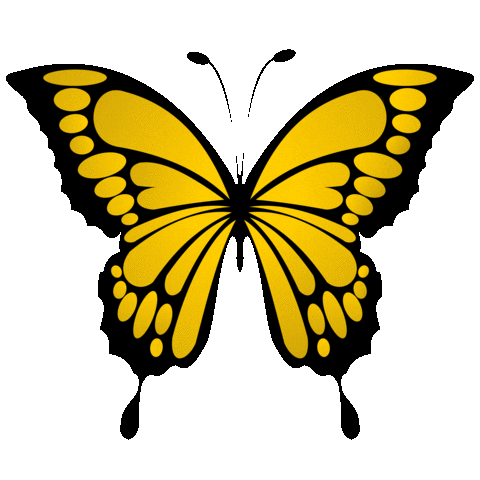 Yellow Butterfly Sticker by Bel Diniz for iOS & Android | GIPHY