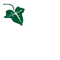 martanlloret summer nature green spring Sticker