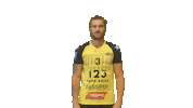 Sport Handball Sticker by Hazebrouckhandball