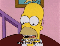 homer simpson GIF