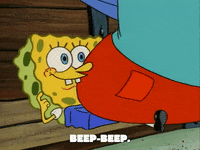 season 1 texas GIF by SpongeBob SquarePants