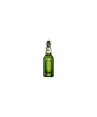 party beer Sticker by Grolsch