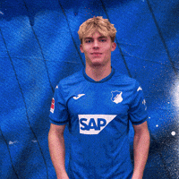 Sport Bundesliga GIF by TSG Hoffenheim