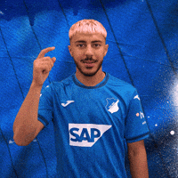 Sport Bundesliga GIF by TSG Hoffenheim
