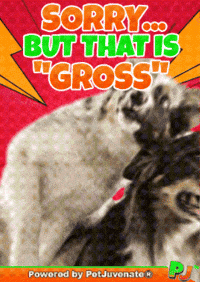 Henlo Hooman Fren GIF by PetJuvenate - PJ
