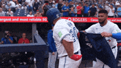 Blue Jays Baseball GIF by Toronto Blue Jays