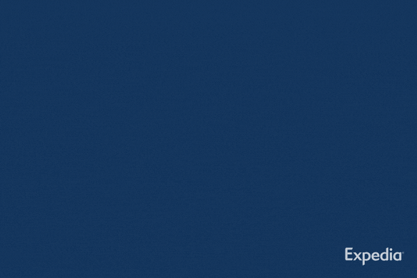 Traveling Out Of Office GIF by Expedia
