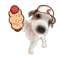Working Dog Sticker by Cocopan