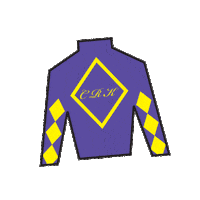 Horse Racing Sticker by Kentucky Derby
