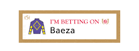 Horse Racing Sticker by Kentucky Derby