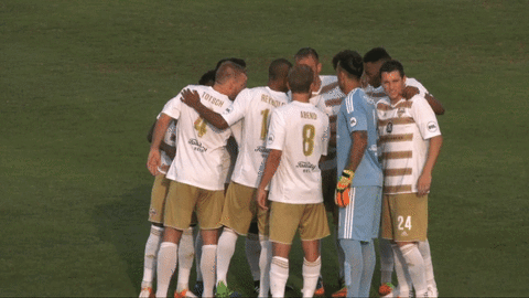 football soccer GIF by Louisville City FC