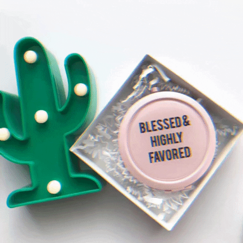 littlemisscompact  GIF