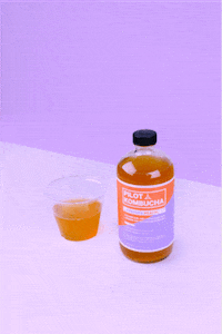 pastel GIF by Pilot Kombucha