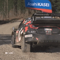 Starting Kick Off GIF by FIA World Rally Championship