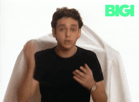 Scared Cat GIF by BIGI_TV