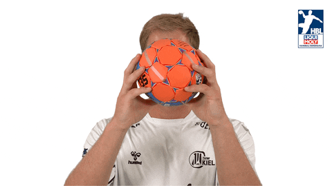 Handball-Bundesliga Hello GIF by LIQUI MOLY HBL