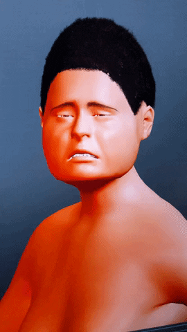 LauBLau giphyupload GIF