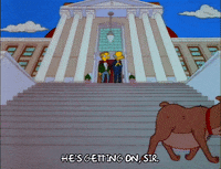 Watching Season 3 GIF by The Simpsons