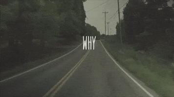 walkerhayes love romance valentine beautiful GIF