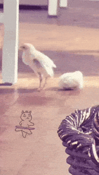 Dance Stretch GIF