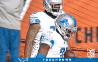 Detroit Lions Football GIF by NFL