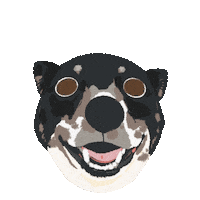 Happy Dog Sticker
