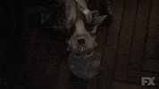 American Horror Story Eating GIF by AHS